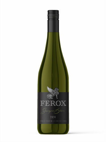 2024 Sauvignon Blanc
